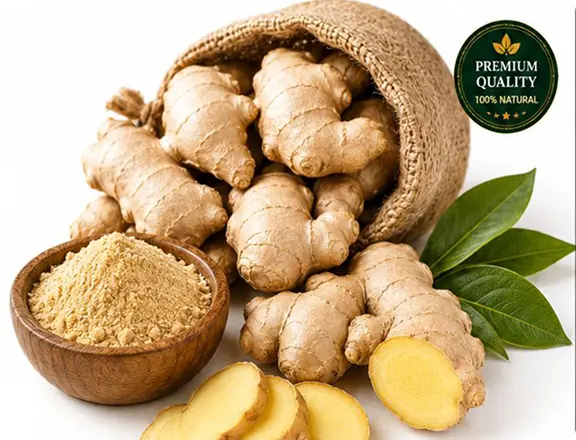 Ginger