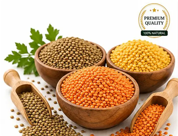 Lentils